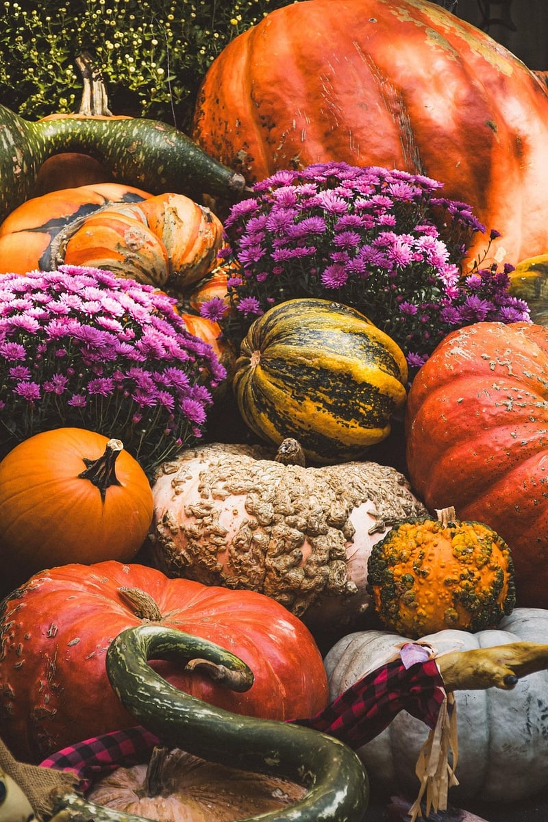 Fall harvest dishes